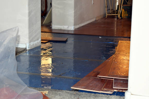 Professional Flood Damage Restoration technician working in Drexel, MO